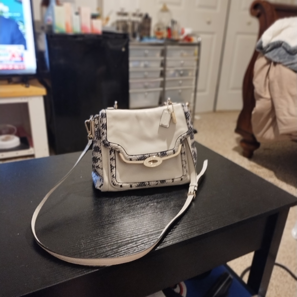 Coach - Picture 1 of 1